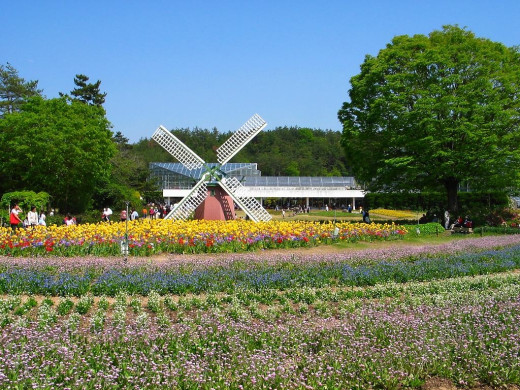 44098 (a): :1024x768